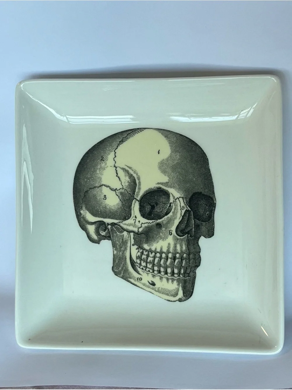 Skull Ring Dish Trinket Dish Ceramic Cream Yellow Black by Magpie